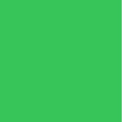 Bright Green 220gsm